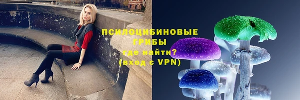 прущий лед Гусев