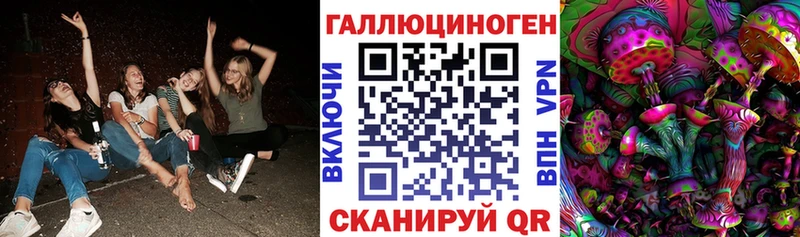 Галлюциногенные грибы Psilocybe Оренбург